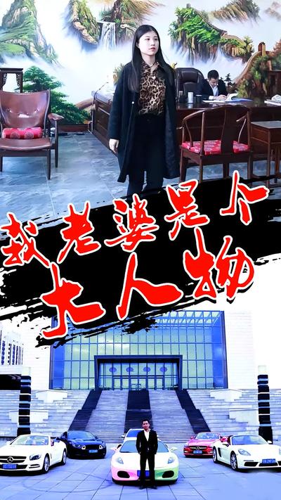 我老婆是个大人物}