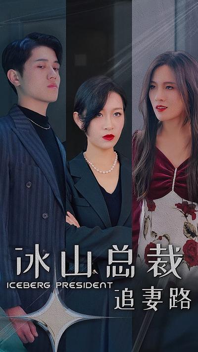 冰山总裁追妻路}