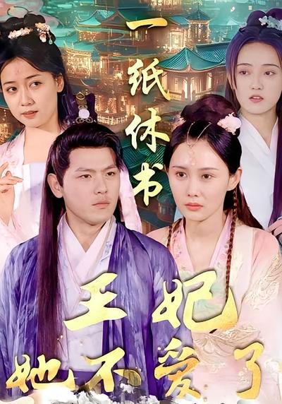 一纸休书，王妃她不爱了}