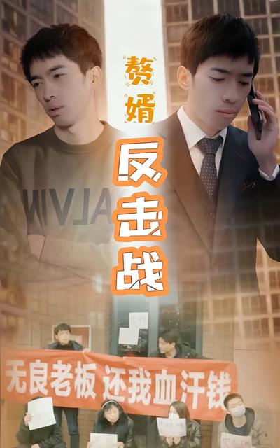 赘婿反击战}