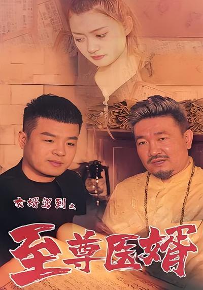 女婿驾到之至尊医婿}