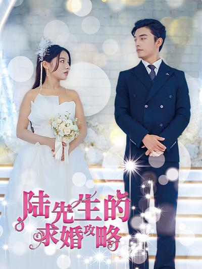 陆先生的求婚攻略}