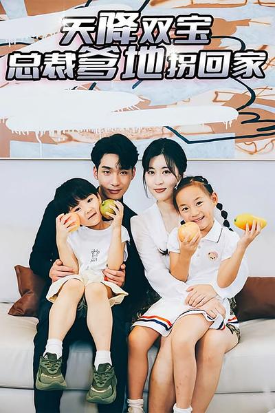 天降双宝，总裁爹地拐回家}