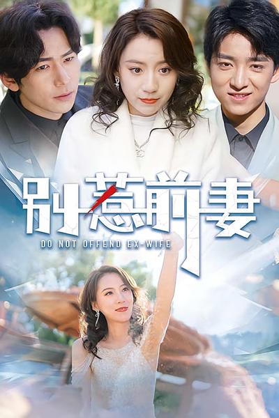 别惹前妻}