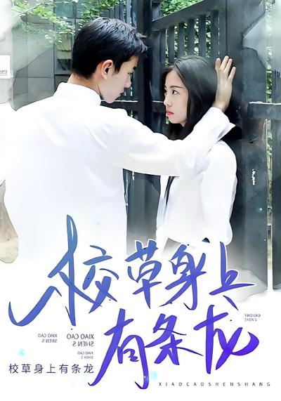 校草身上有条龙}