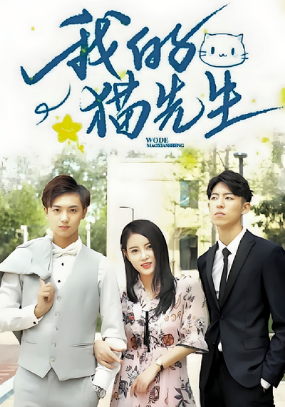 我的猫先生}