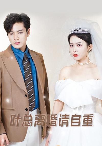 叶总离婚请自重}