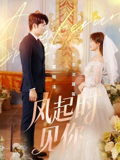 风起时见你}