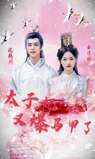 太子妃又爆马甲了}