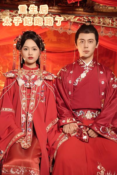 重生后太子妃跑路了}