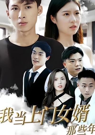 我当上门女婿那些年}