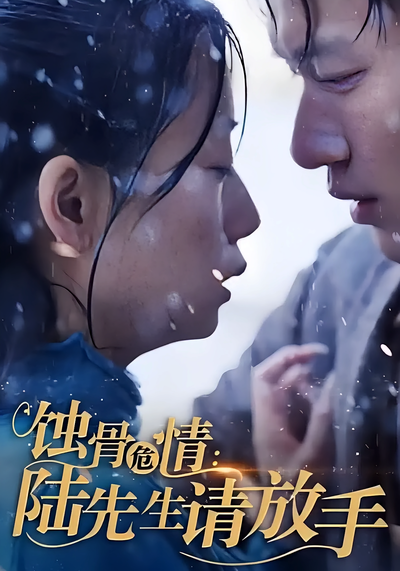 蚀骨危情：陆先生请放手}