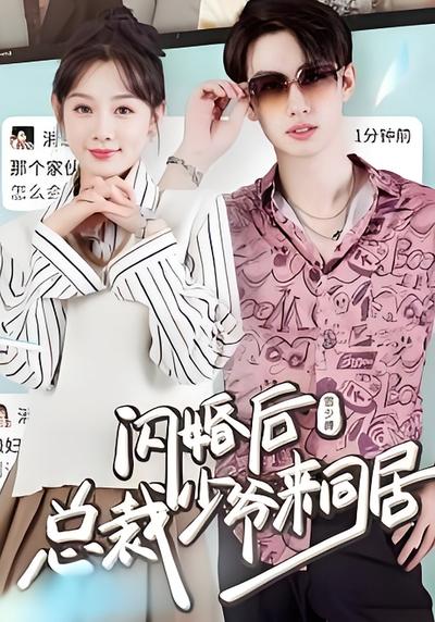 闪婚后，总裁少爷来同居}