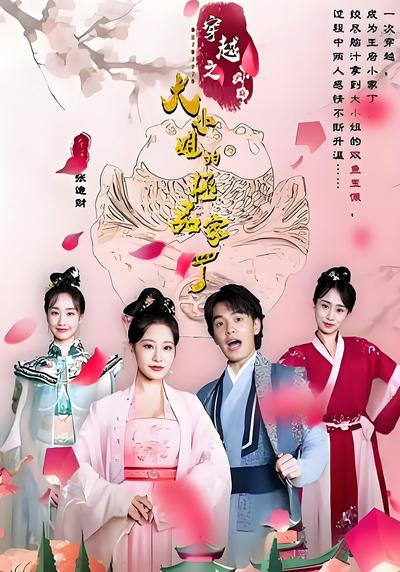 穿越之大小姐的极品家丁}