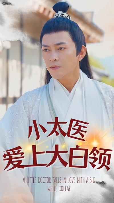 小太医爱上大白领}