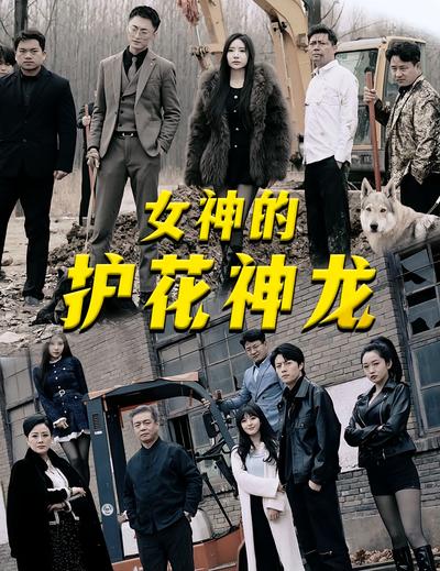 女神的护花神龙}