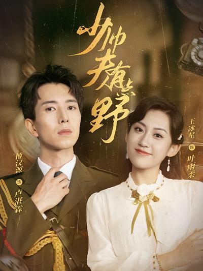 少帅夫人有点野}