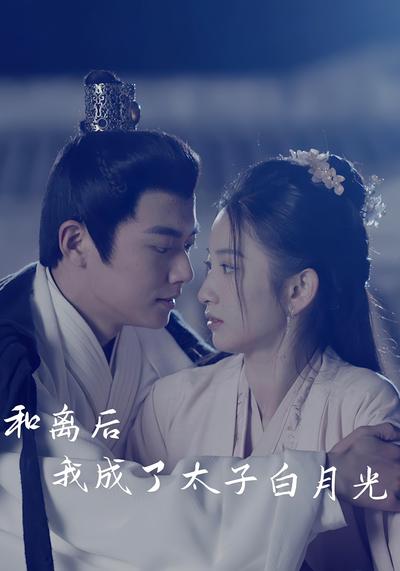 和离后我成了太子白月光}