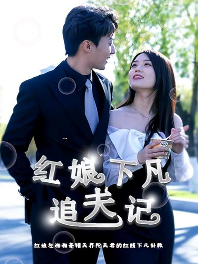 红娘下凡追夫记}