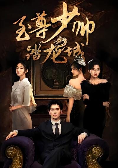 至尊少帅踏龙城}