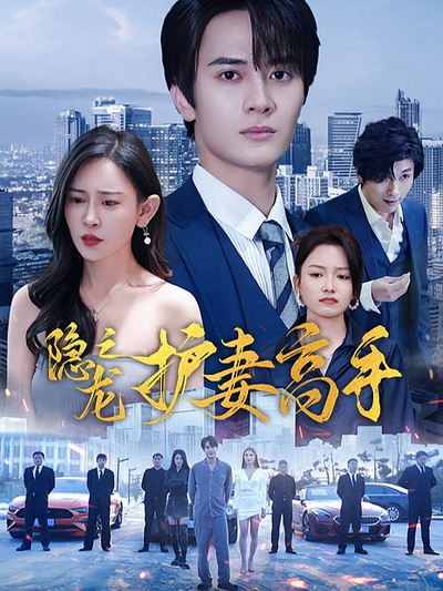 隐龙之护妻高手}