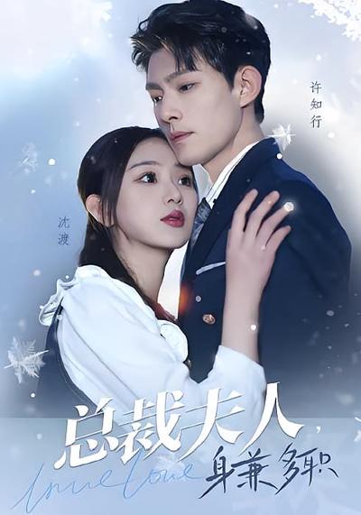 总裁夫人，身兼多职}