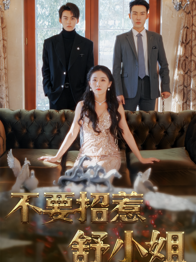 不要招惹舒小姐}