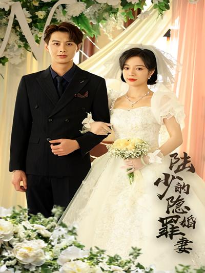 陆少的隐婚罪妻}