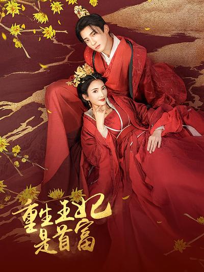 重生王妃是首富}