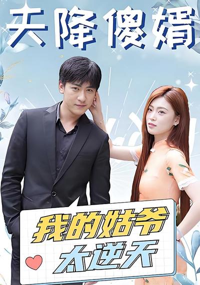 天降傻婿：我的姑爷太逆天}