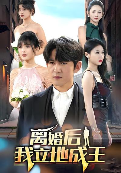 离婚后我立地成王}