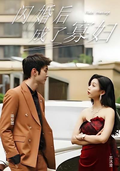 闪婚后，成了寡妇}