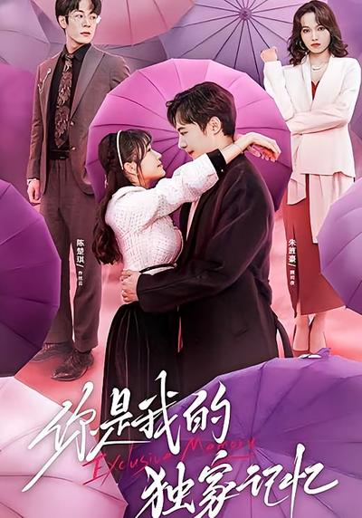 你是我的独家记忆}