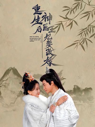 重生后神医王妃要改嫁}