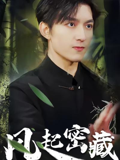 风起密藏}
