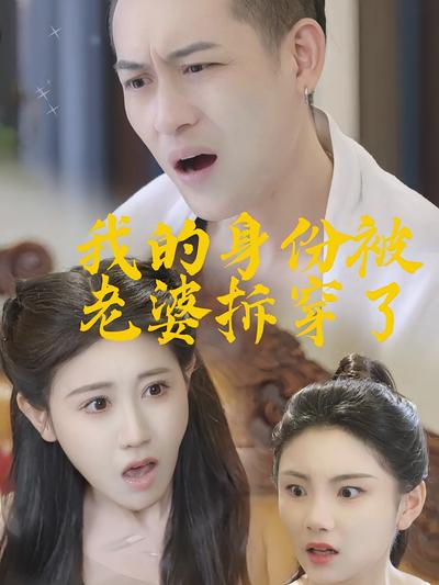 我的身份被老婆拆穿了}