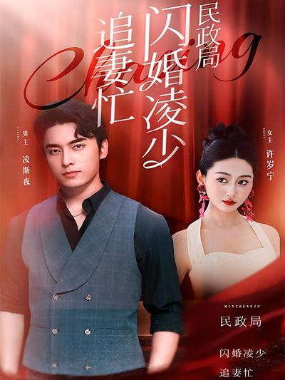 民政局外闪婚凌少追妻忙}