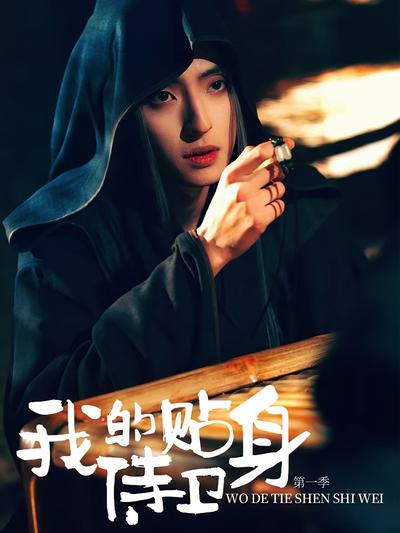 我的贴身侍卫 第一季}