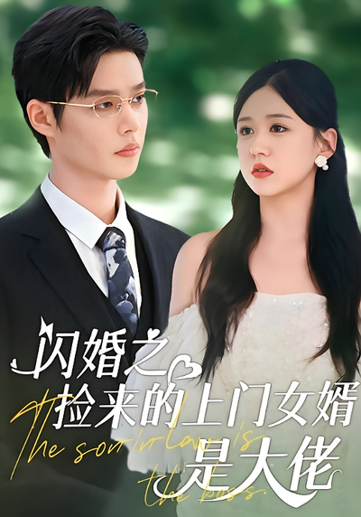 闪婚之捡来的上门女婿是大佬}