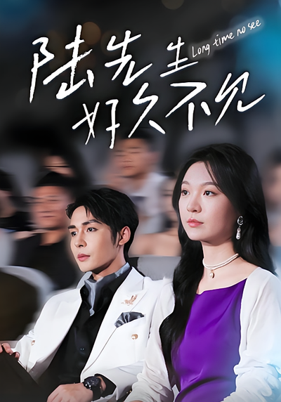 陆先生好久不见}