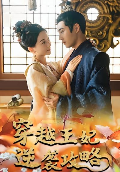 穿越王妃逆袭攻略}