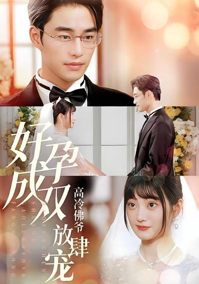 好孕成双高冷佛爷放肆宠}