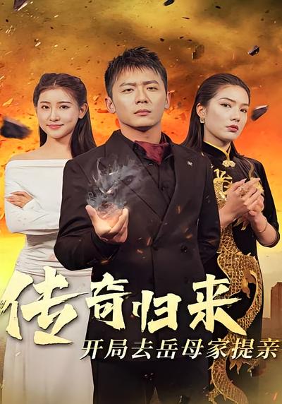 传奇归来开局去岳母家提亲}