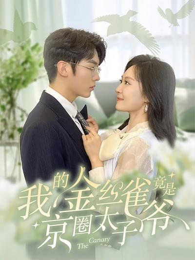 我的金丝雀竟是京圈太子爷}