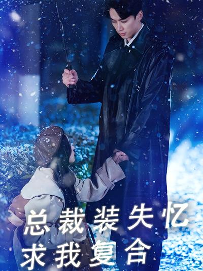 总裁装失忆求我复合}