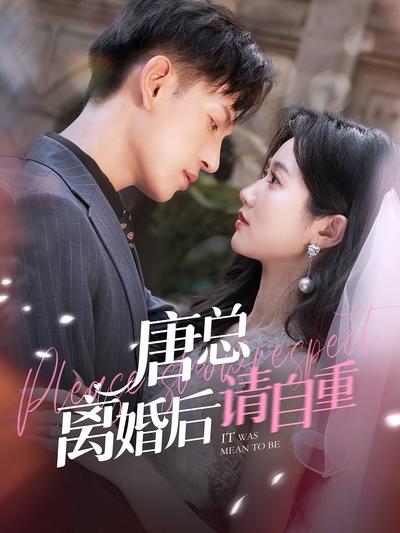 唐总离婚后请自重}