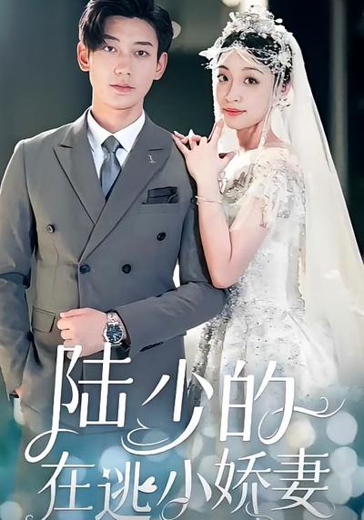 陆少的在逃小娇妻}