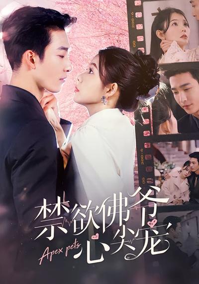 禁欲佛爷心尖宠}