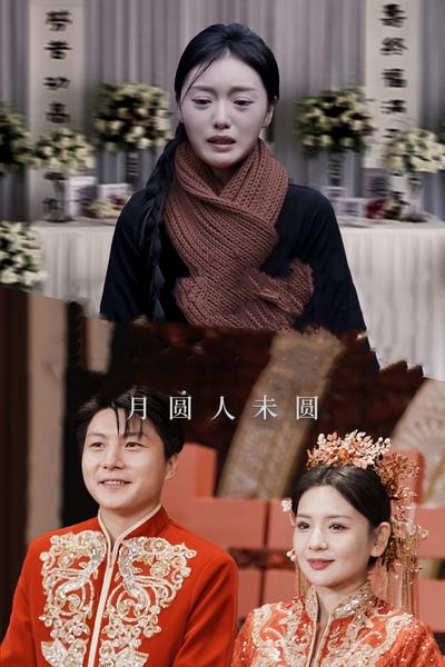 月圆人未圆}