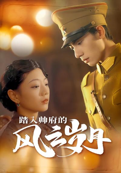 踏入帅府的风云岁月}